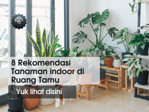 rekomendasi tanaman ruang tamu