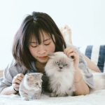 cara membersihkan kutu kucing di tempat tidur dan rumah