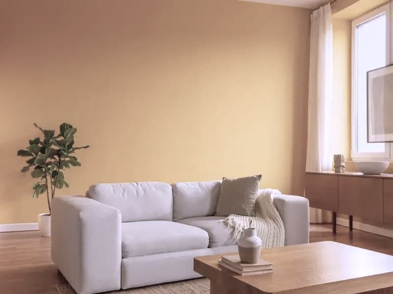 warna cat rumah minimalis